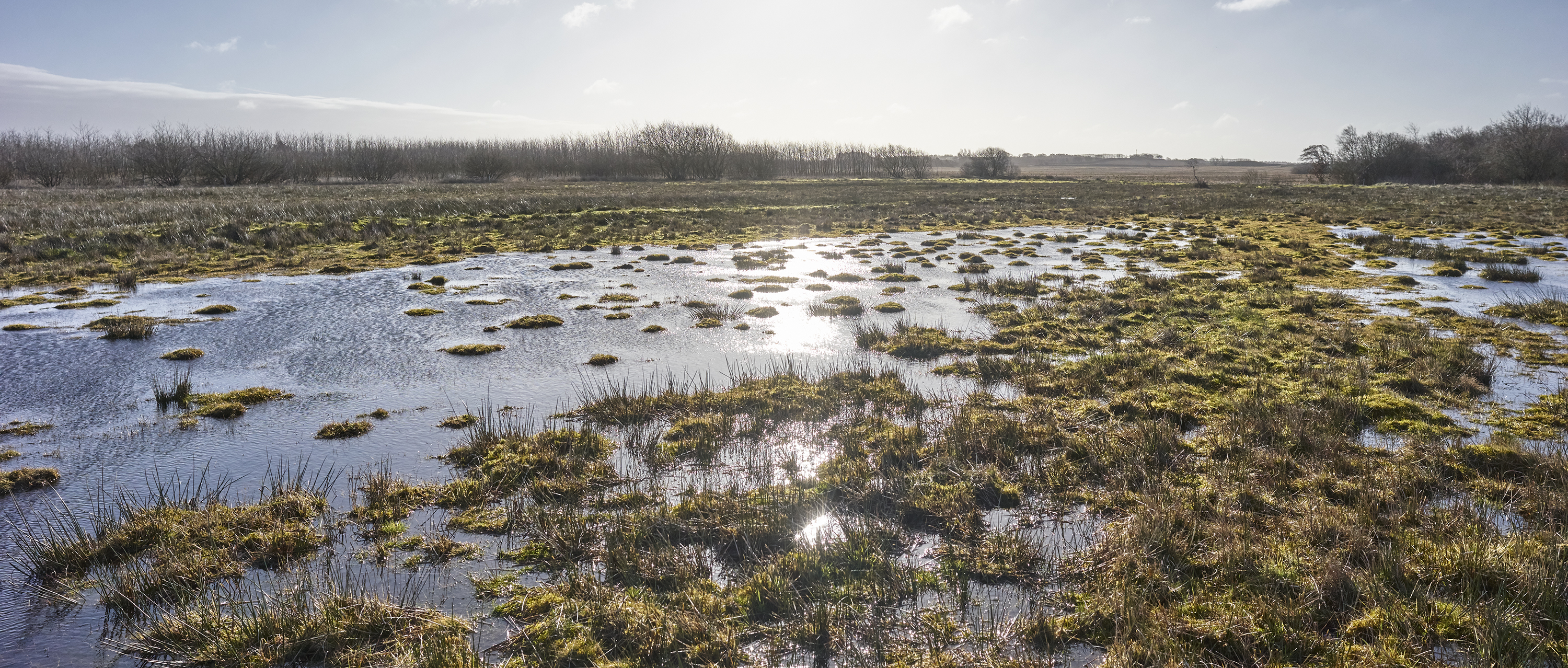 Omtanke og hensyn til naturen mangler ved Navnsø
